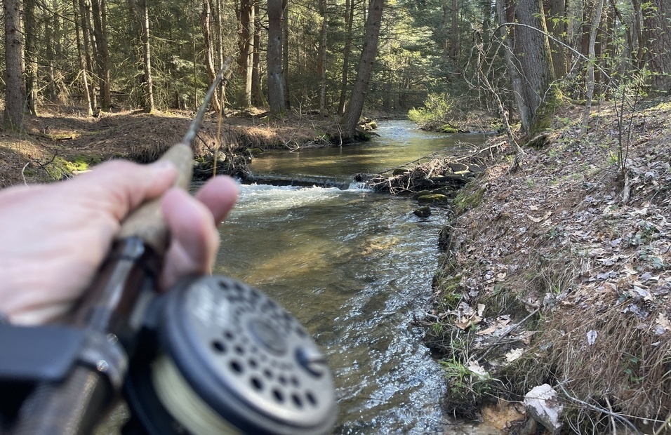 Fly Fishing