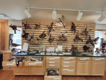 museum promiseland